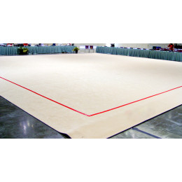 Гимнастический ковер 13х13м